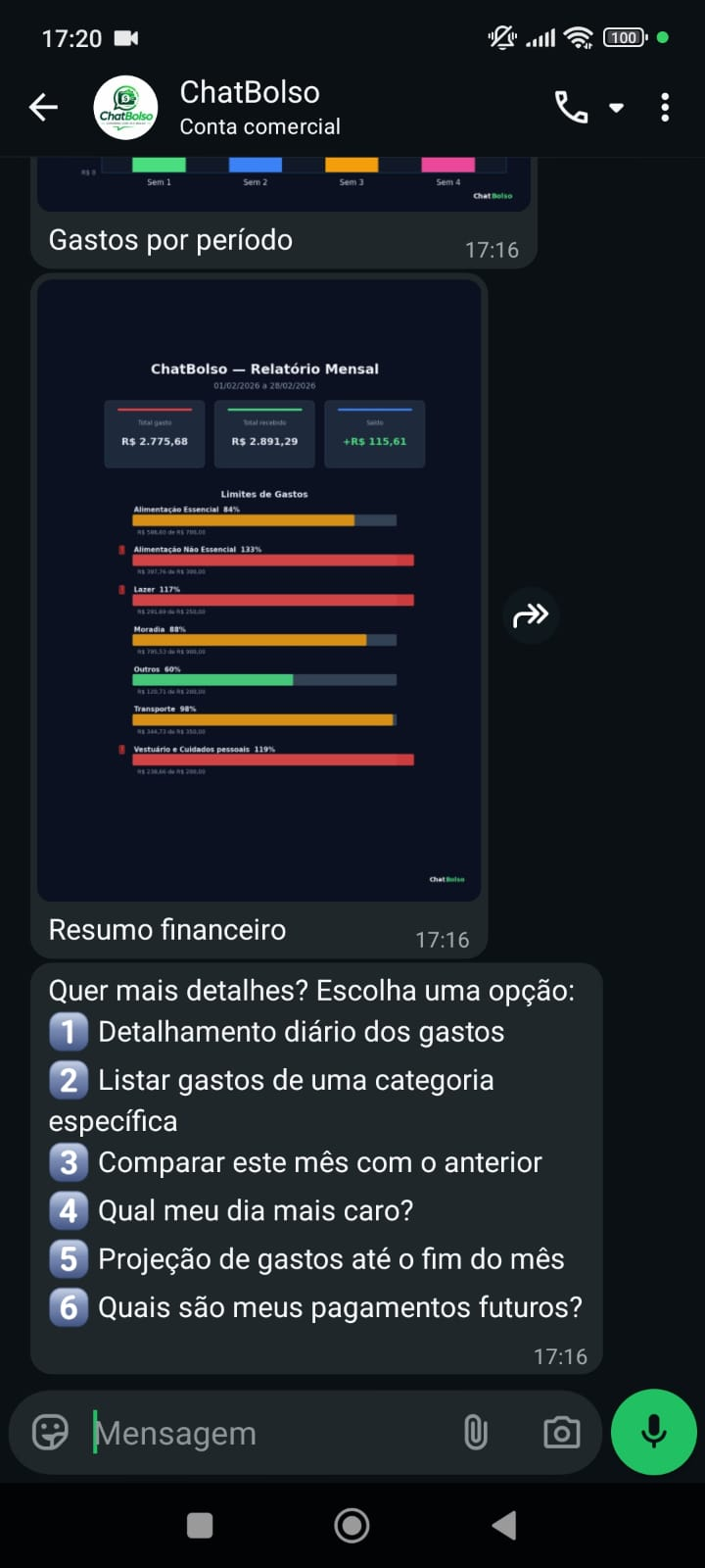 Pós-relatório ChatBolso